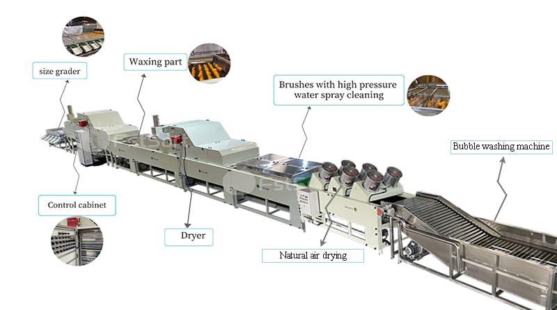 images/1661844486777citrus grading sorting machine.jpg